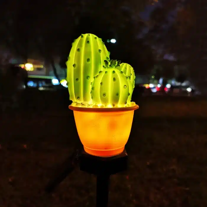 Lampe solaire cactus 1