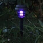 description-image-6