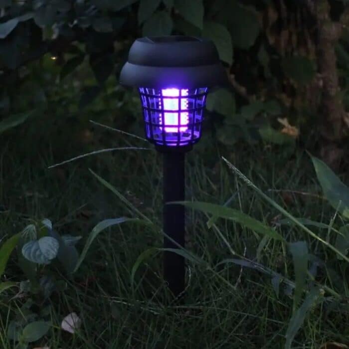 description-image-6